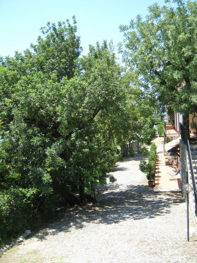 Il Casalino Apartman Maratea Kültér fotó